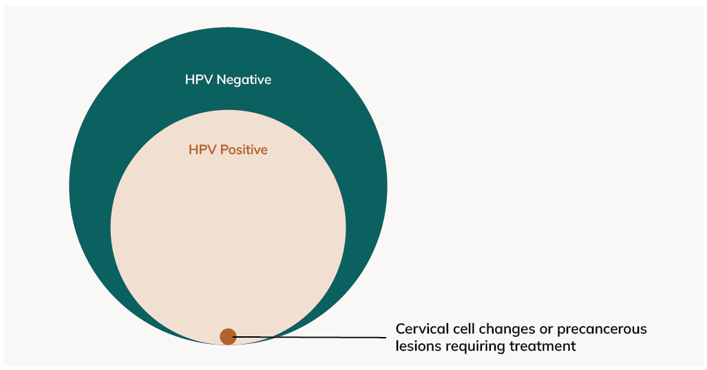 HPV progression chart