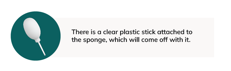 Plastic stick attached to sponge